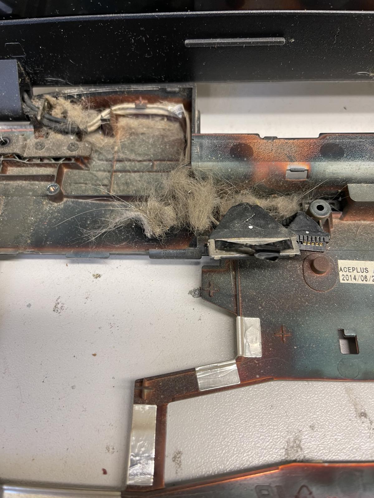 Image 6